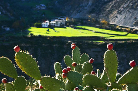 雨季7、8月去九寨沟穿什么衣服-爱客纯玩